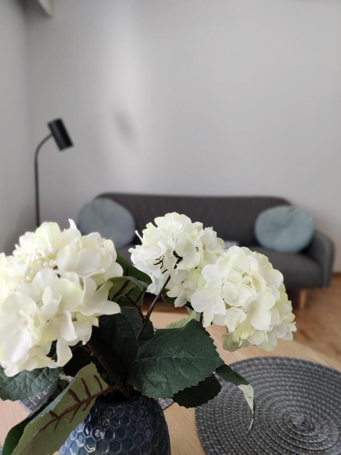 Niinivaara Apartment Saunallinen Ja Ilmastoitu Majoitus Йоэнсуу Экстерьер фото